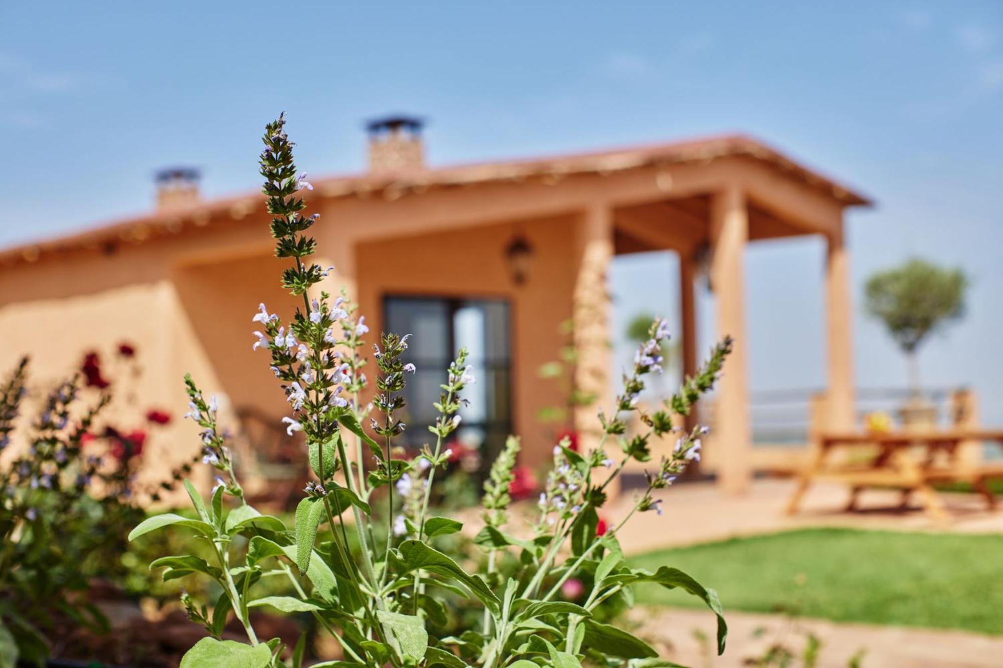 Dar Imiri Bed and Breakfast Ourika Εξωτερικό φωτογραφία
