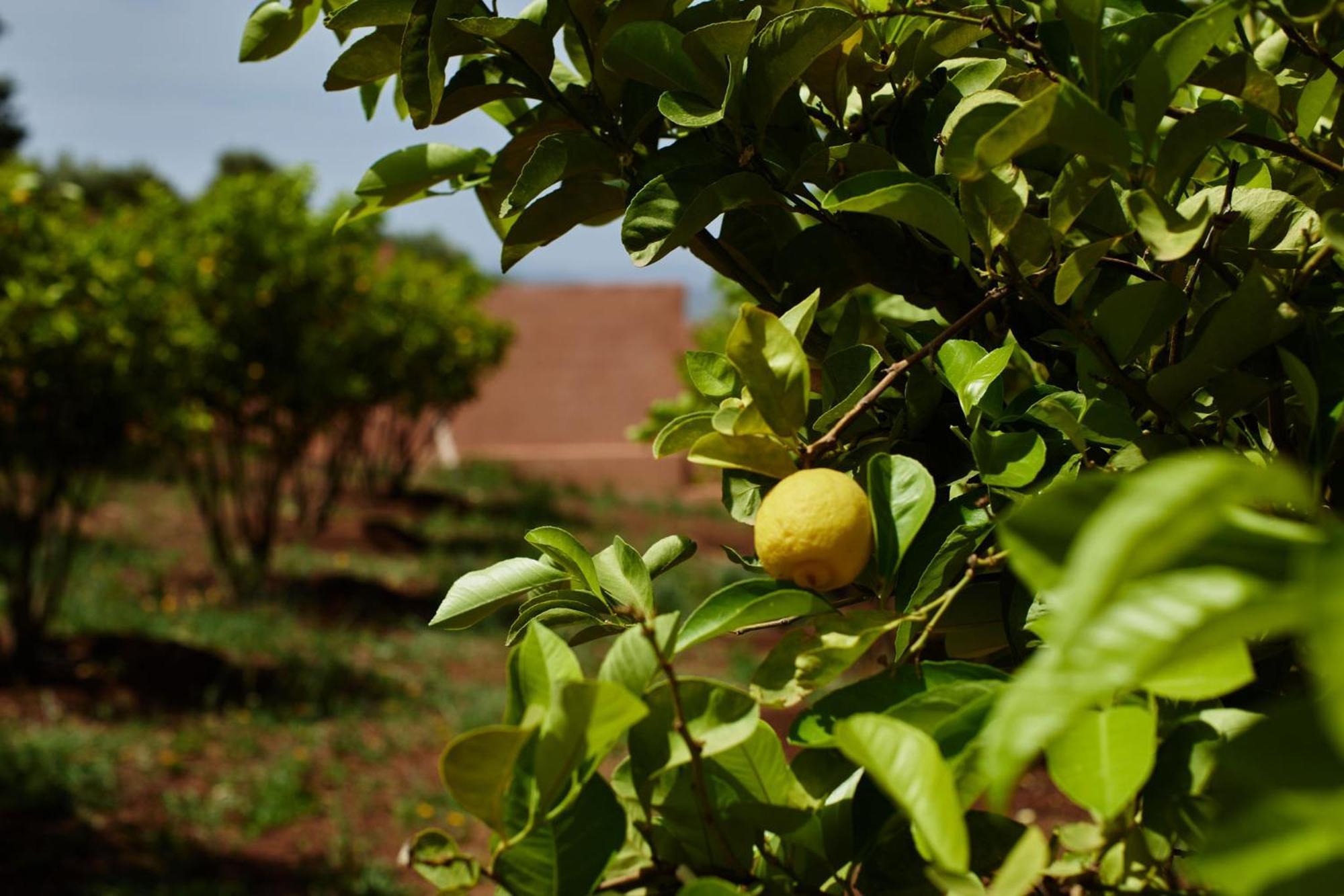 Dar Imiri Bed and Breakfast Ourika Εξωτερικό φωτογραφία