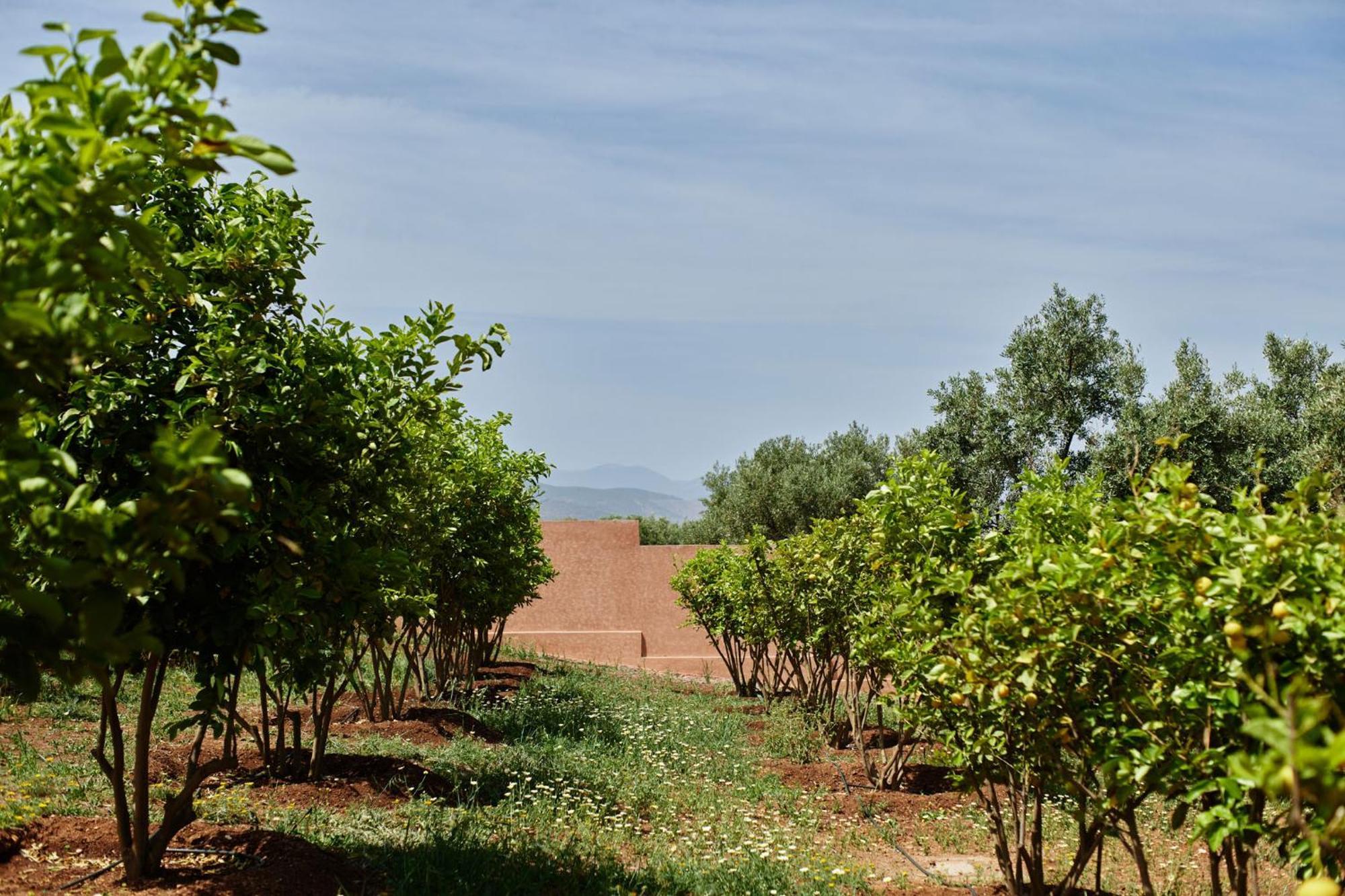 Dar Imiri Bed and Breakfast Ourika Εξωτερικό φωτογραφία