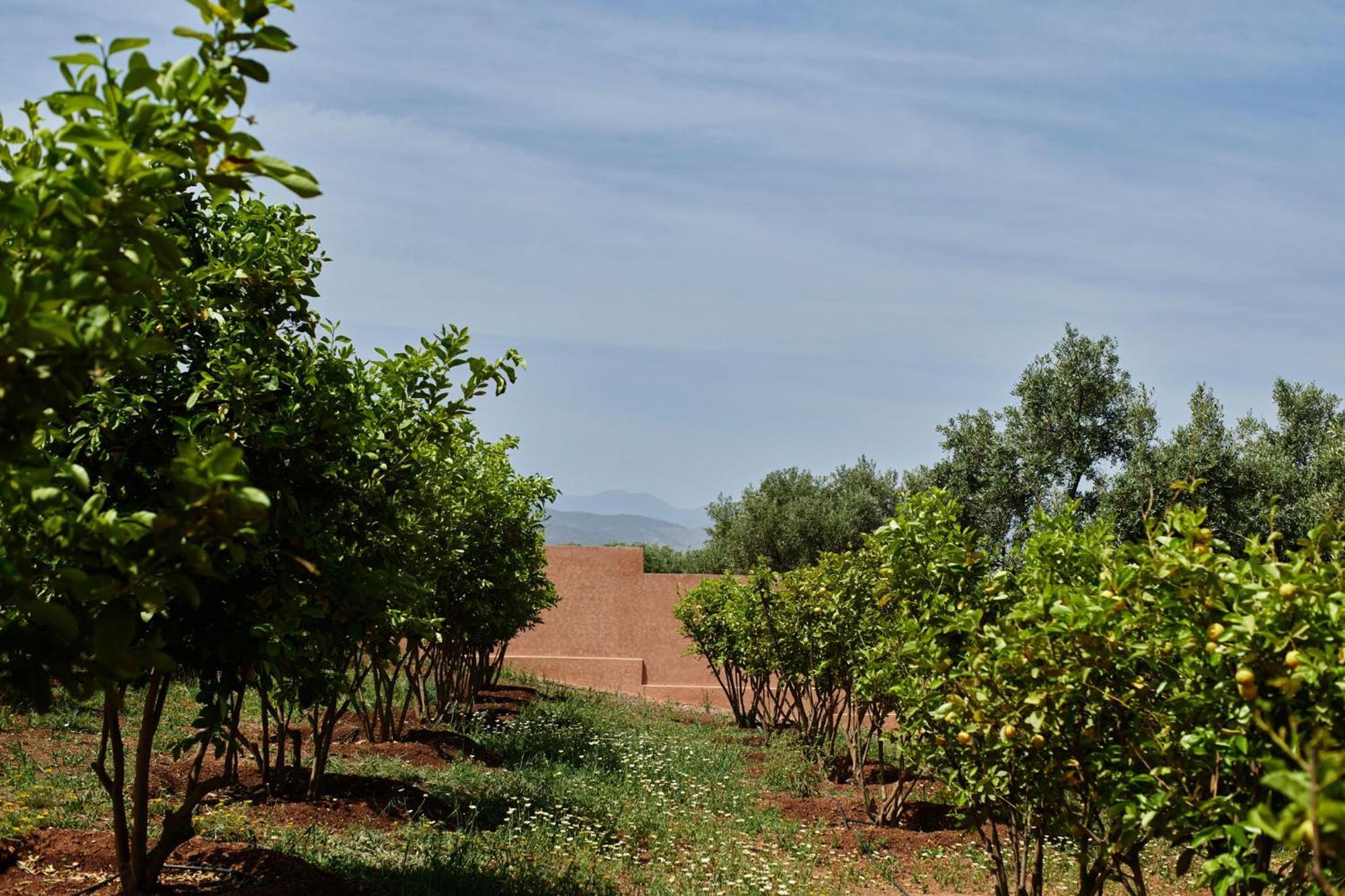 Dar Imiri Bed and Breakfast Ourika Εξωτερικό φωτογραφία